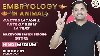 Gastrulation & Fate of Germ Layers (Embryology in Animals) | Hindi Medium #neet
