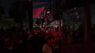 Organic House Music at Its Peak - Epic Concert Drop 2026 | Best DJ Set Performance