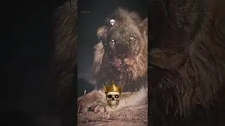 Angry Lion vs Fox | Unexpected Wildlife Moment#lion #scary #lion #danger