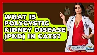What Is Polycystic Kidney Disease (PKD) In Cats? - Ask A Pet Vet