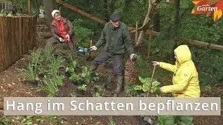Hang im Schatten mit Pflanzen versch&ouml;nern und befestigen | MDR Garten