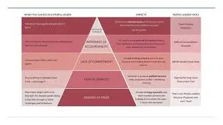 Five Dysfunctions of a Team abstract