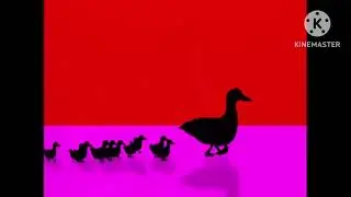 Coquette productions in color Red 