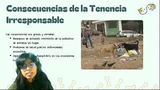 Tenencia responsable de animales en el per&uacute; &iexcl;CUIDEMOS A NUESTROS AMIGUITOS PELUDOS!