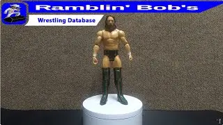 Daniel Bryan - 2011 Mattel Inc (WWE)