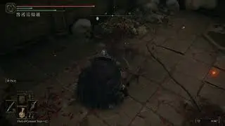 How to parry with dual dagger | Elden Ring | Xbox S series