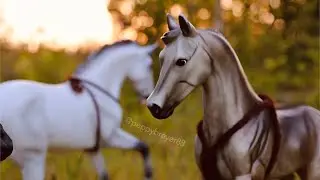 Ambush | a Breyer Short Film
