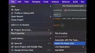 Make File Read Only