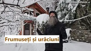 Sfaturi duhovniceşti din mijlocul zăpezii: pace, spovedanie și smerenie - p. Pimen Vlad