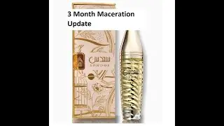 3 Month Maceration Update on Sondos EDP by Lattafa | Fragrances #111