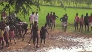 Bull sports @ Master Dileep's place