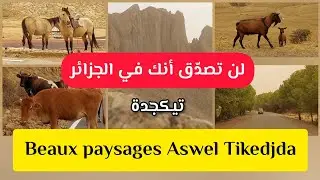 لن تصدق أنك في الجزائر Beaux paysages Aswel Tikejda مناظر خلابة  أسول تيكجدة