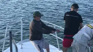 IMG 9928