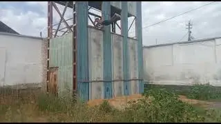 ПАЛМ ДРОП БЛАНШОМ