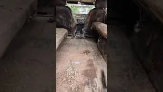 Cleaning my jeep | gardener's jeep | dirty jeep