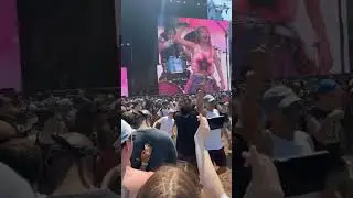 Hardcore dancing to Hanabie. @ #lollapalooza #festival #moshpit #shorts