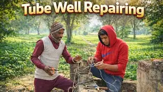 15January2026|  Farmhouse #trending #nature #farming #palwal #haryana #india #science #farmhouse
