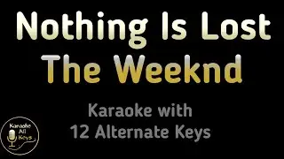 The Weeknd - Nothing Is Lost Karaoke Instrumental Avatar Lower Higher Female Original Key