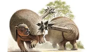 Paleo Log: Doedicurus