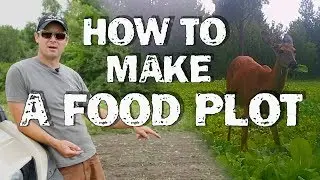 How to Make a Food Plot
