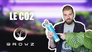 LE CO2 EN AQUARIUM !