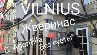 ПРОГУЛКА. Вильнюс. Жверинас без суеты. WALKING Vilnius Zverynas