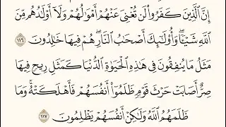 تدبر سورة آل عمران (١١٣-١١٧)