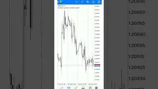 Live 252% profit earned with video proof #shorts