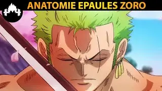 🔥 ANATOMIE : LES ENTRA&Icirc;NEMENTS de ZORO pour MUSCLER ses &Eacute;PAULES ? ONE PIECE