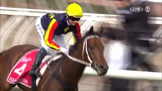 Goldrush Guru &ndash; Penfolds Victoria Derby &ndash; Penfolds Victoria Derby Day, Race 7