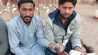 استاد رانا طاہر صاحب کے شاگرد عباس کےچھت کا بہت پیارا انٹرویو اور تمام نسل کا ان کے شجرے کا معلومات 