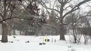 Pretty snow