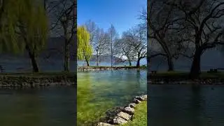 🌿 Beautiful Assam Nature Scenic Beauty of Assam Incredible India#assam #assamtourism #naturelovers