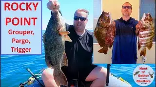 Grouper, Pargo, Trigger - Puerto Pe&ntilde;asco Mexico Fishing - Rocky Point - Pompano - Surf & Boat