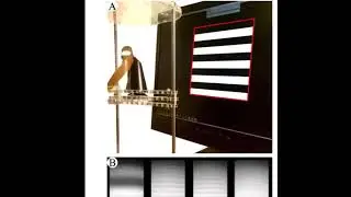 Insect-inspired omnidirectional vision for autonomous localization on-board a hexapod robot