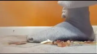 Socks /feet crushing food