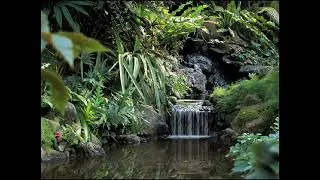 Old World Wide Web Browsing Experimental Stream