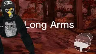 I Made home made long arms (they kinda sucked)
