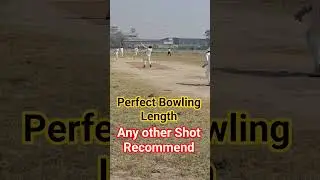 Perfect Length Bowling #trendingshorts #cricket #cricketshorts #bowlervibes #iplmatchpredictions