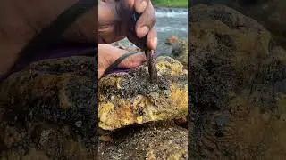 Nature's Hidden Surprise Inside an Ordinary Stone #rockcracking #diamonds #rockhounding #shorts