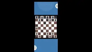 Chess speedrun but the bot makes an illegal move
