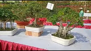 INDIAN OIL FLOWER SHOW 2023 AT HALDIA TOWNSHIP