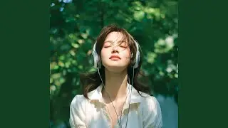 Over the Quiet Sky