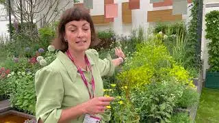 A Textile Garden for Fashion Revolution by Lottie Delamain, RHS Chelsea Flower Show 2022