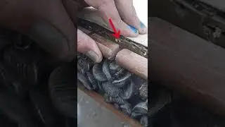 Extremely Smart DIY Wood Hack To Fill Gap #shorts #woodlink #woodworking #diy