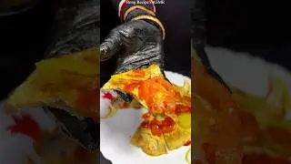 Potato Omelette Wrap ASMR