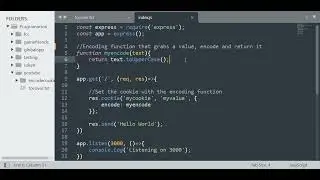 How to set custom encoding function for cookies in Express