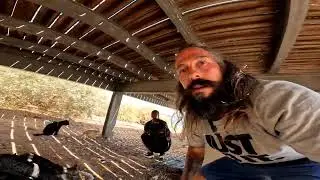 Современные Хиппи в Португалии кормят диких кошек.Modern Hippies in Portugal feed wild cats.