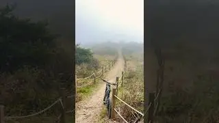 가을동행~#스페셜라이즈드 #mtb #ebike #kenevo #expert #천성산 #스페셜라이즈드 #specialized