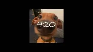 4i20